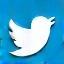X (formerly Twitter)